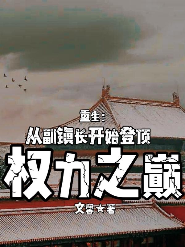 重生:从副镇长开始登顶权力之巅小说